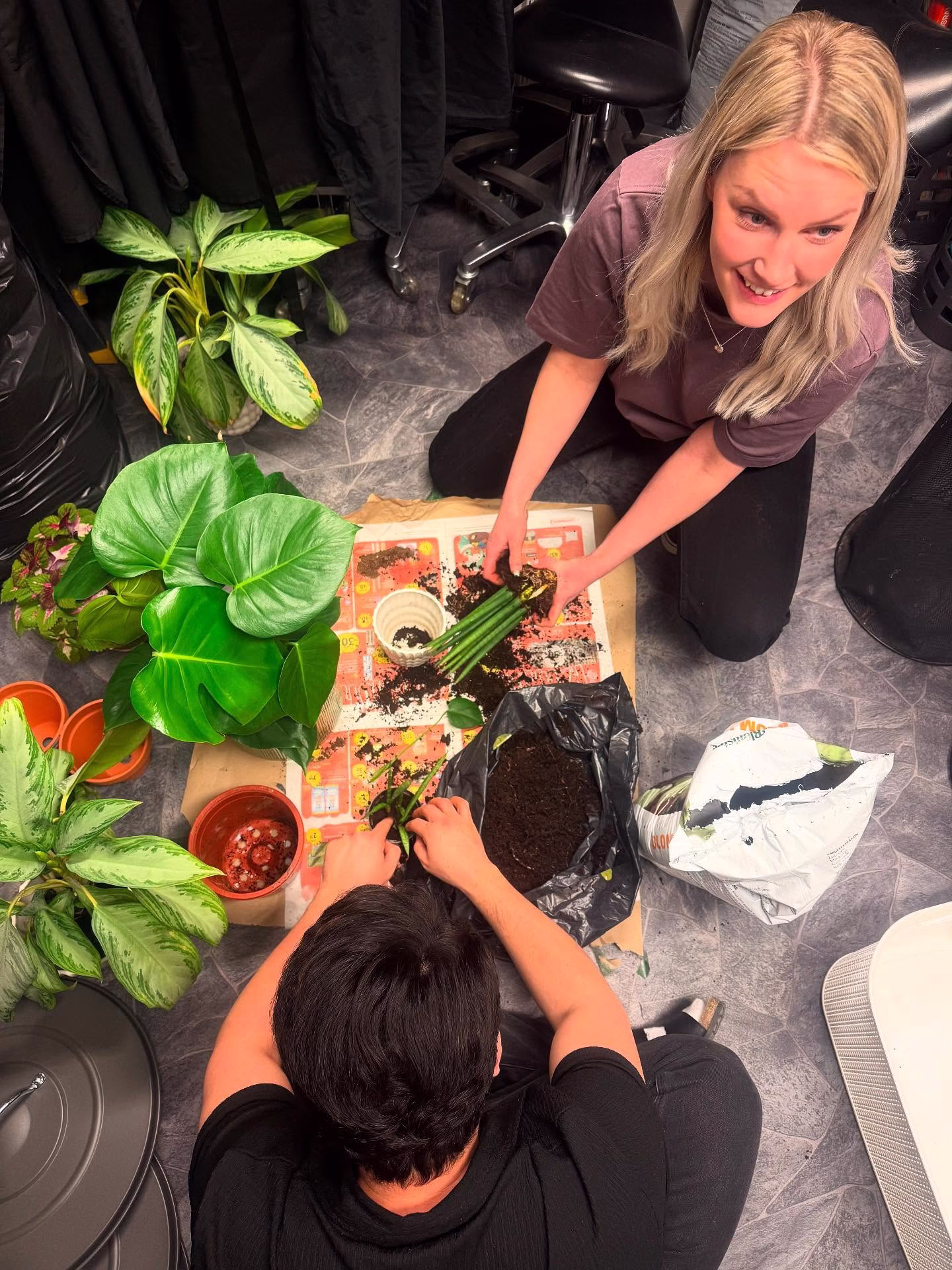 Det har sina fördelar att ha en ”gammal” florist på salongen! 🌸🌸🌸 Äntligen får våra blommor lite kärlek.. 🫶